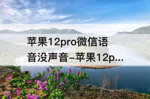 苹果12pro微信语音没声音-苹果12pro微信语音没声音只能转换文字