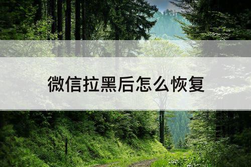 微信拉黑后怎么恢复