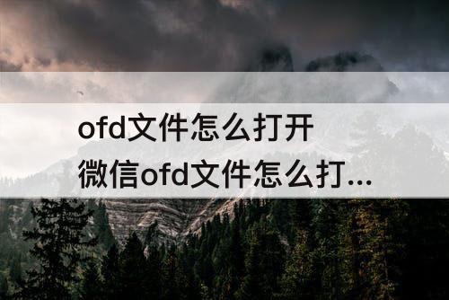 ofd文件怎么打开 微信ofd文件怎么打开