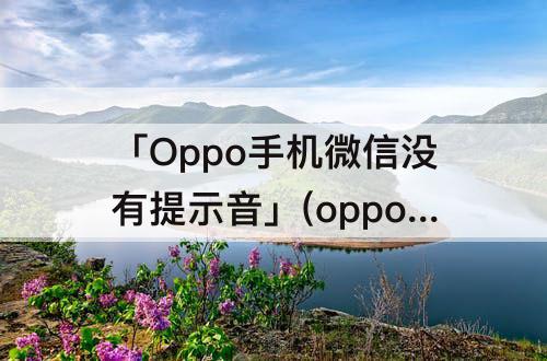 「Oppo手机微信没有提示音」(oppo手机微信没有提示音怎么设置)