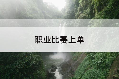 职业比赛上单