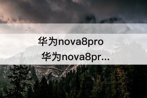华为nova8pro 华为nova8pro微信视频怎么开美颜