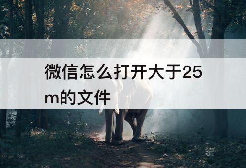 微信怎么打开大于25m的文件