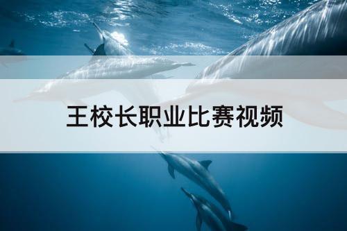 王校长职业比赛视频