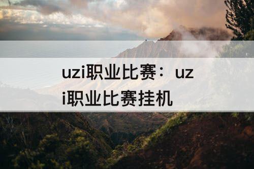 uzi职业比赛：uzi职业比赛挂机