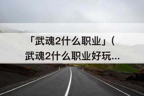 「武魂2什么职业」(武魂2什么职业好玩 贫民)