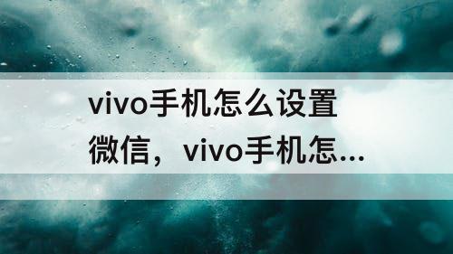 vivo手机怎么设置微信，vivo手机怎么设置微信主题壁纸