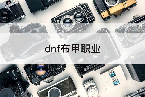 dnf布甲职业