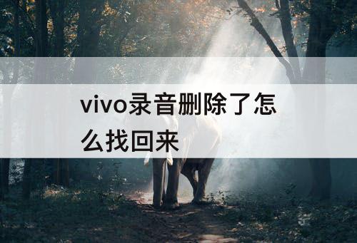 vivo录音删除了怎么找回来