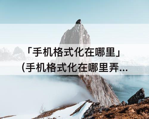 「手机格式化在哪里」(手机格式化在哪里弄)