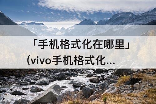 「手机格式化在哪里」(vivo手机格式化在哪里找在设置哪个里面)