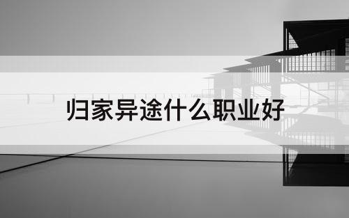 归家异途什么职业好