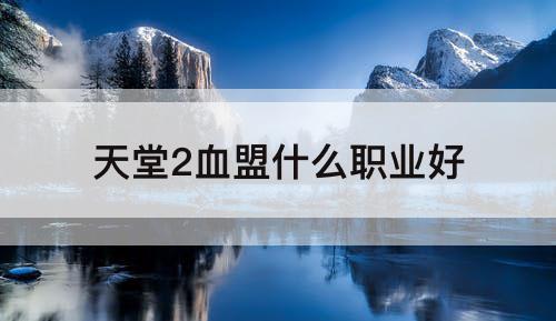 天堂2血盟什么职业好