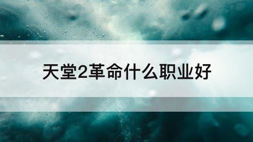 天堂2革命什么职业好