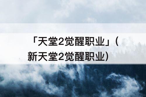 「天堂2觉醒职业」(新天堂2觉醒职业)
