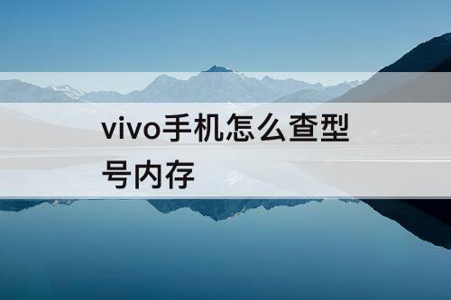 vivo手机怎么查型号内存