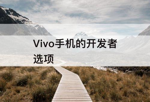 Vivo手机的开发者选项