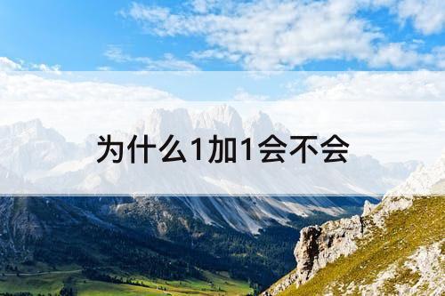 为什么1加1会不会
