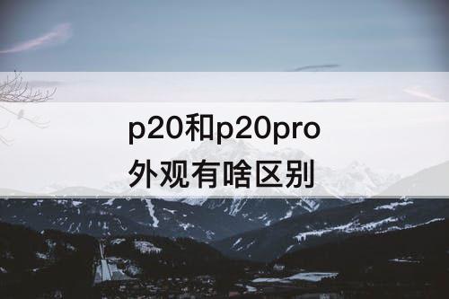 p20和p20pro外观有啥区别