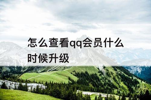 怎么查看qq会员什么时候升级