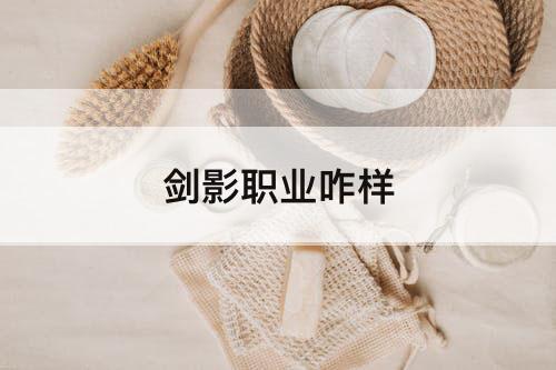 剑影职业咋样