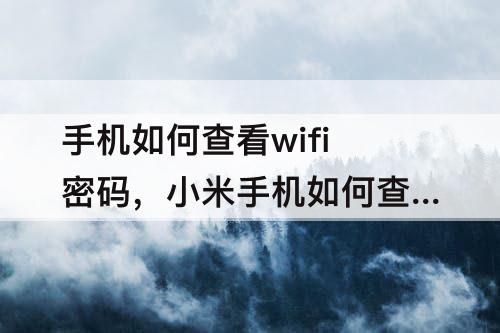 手机如何查看wifi密码，小米手机如何查看WIFI密码二维码