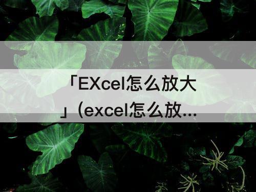 「EXcel怎么放大」(excel怎么放大快捷键)