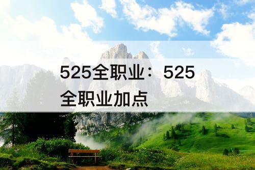 525全职业：525全职业加点