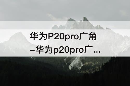 华为P20pro广角-华为p20pro广角拍照怎么调出来