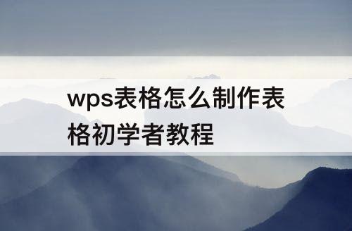 wps表格怎么制作表格初学者教程