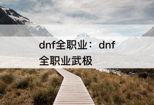dnf全职业：dnf全职业武极