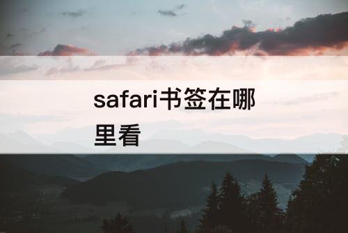 safari书签在哪里看