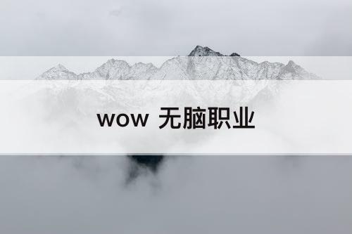 wow 无脑职业
