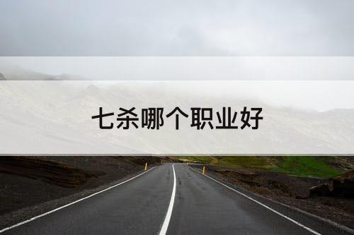 七杀哪个职业好