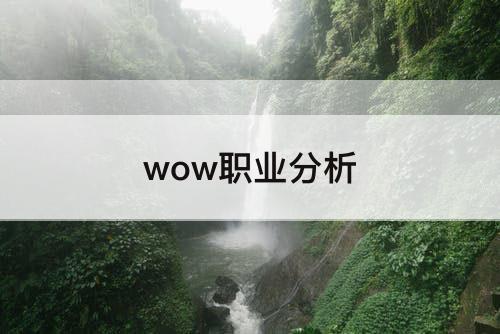 wow职业分析