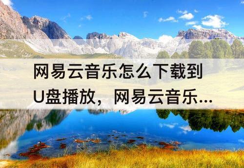网易云音乐怎么下载到U盘播放，网易云音乐怎么下载到U盘播放不了