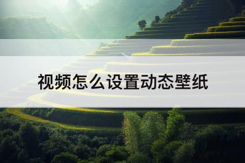 视频怎么设置动态壁纸