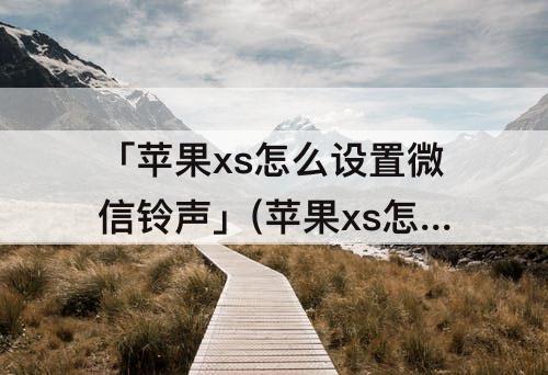 「苹果xs怎么设置微信铃声」(苹果xs怎么设置微信铃声不是三全音)