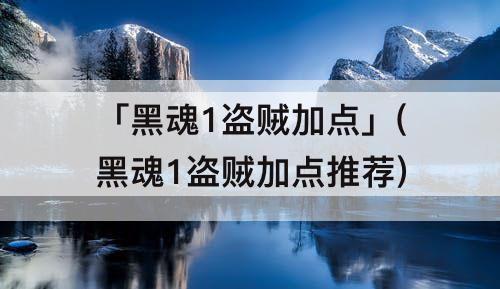 「黑魂1盗贼加点」(黑魂1盗贼加点推荐)