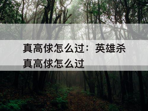 真高俅怎么过：英雄杀真高俅怎么过