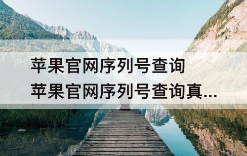 苹果官网序列号查询 苹果官网序列号查询真伪