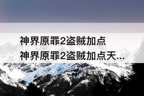 神界原罪2盗贼加点 神界原罪2盗贼加点天赋