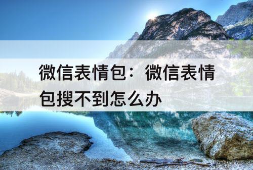 微信表情包：微信表情包搜不到怎么办