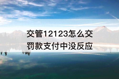 交管12123怎么交罚款支付中没反应