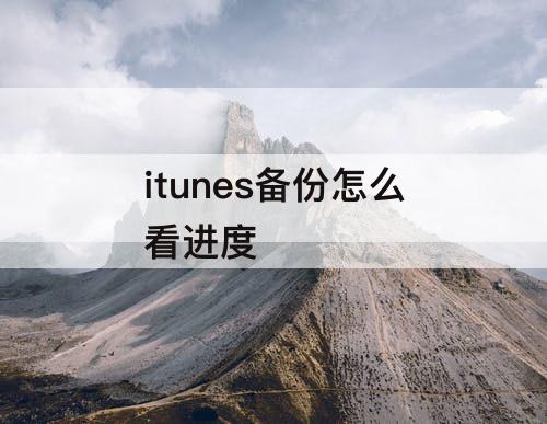 itunes备份怎么看进度