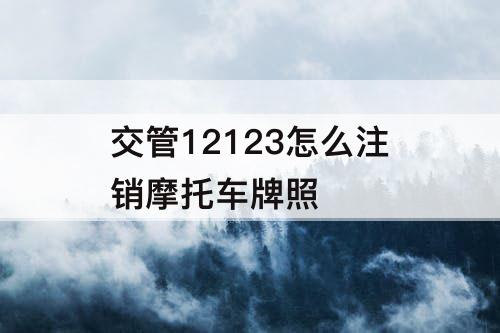 交管12123怎么注销摩托车牌照