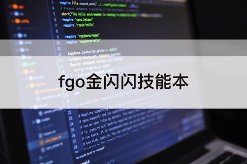 fgo金闪闪技能本