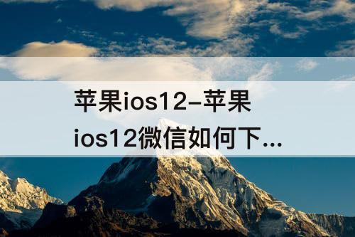 苹果ios12-苹果ios12微信如何下载旧版本