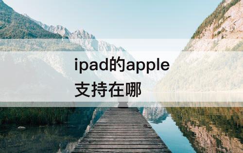 ipad的apple支持在哪