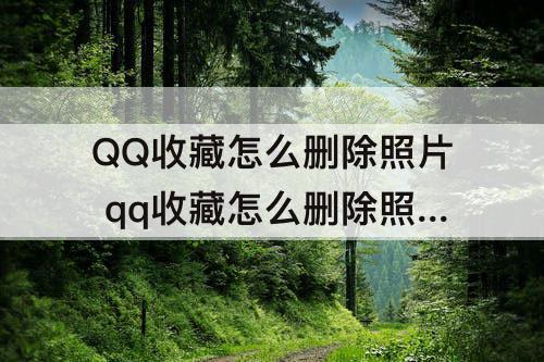 QQ收藏怎么删除照片 qq收藏怎么删除照片之后在别的手机上登录后还能看到